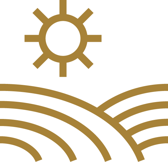 vendemmia- icona tappi - società agricola mazzi valpolicella verona