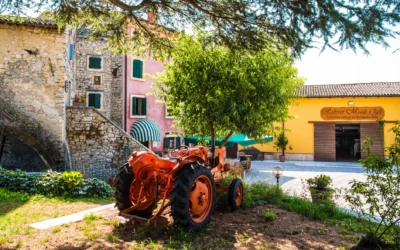Cantina con pernottamento in Valpolicella: soggiorno con degustazione vini